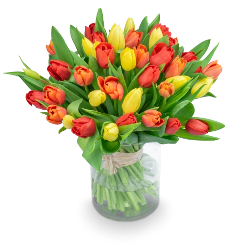 Kytice  tulipánů